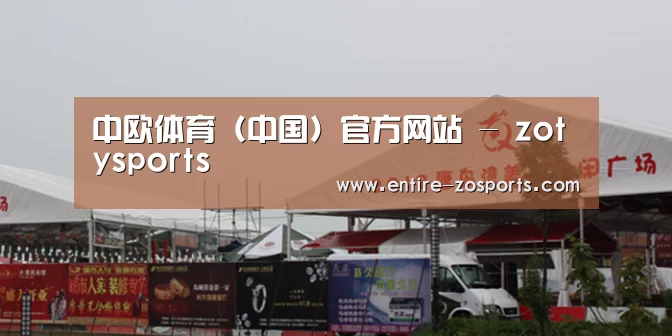 案例标题十