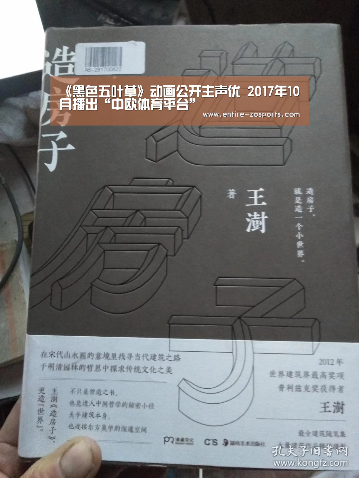 《黑色五叶草》动画公开主声优 2017年10月播出“中欧体育平台”
