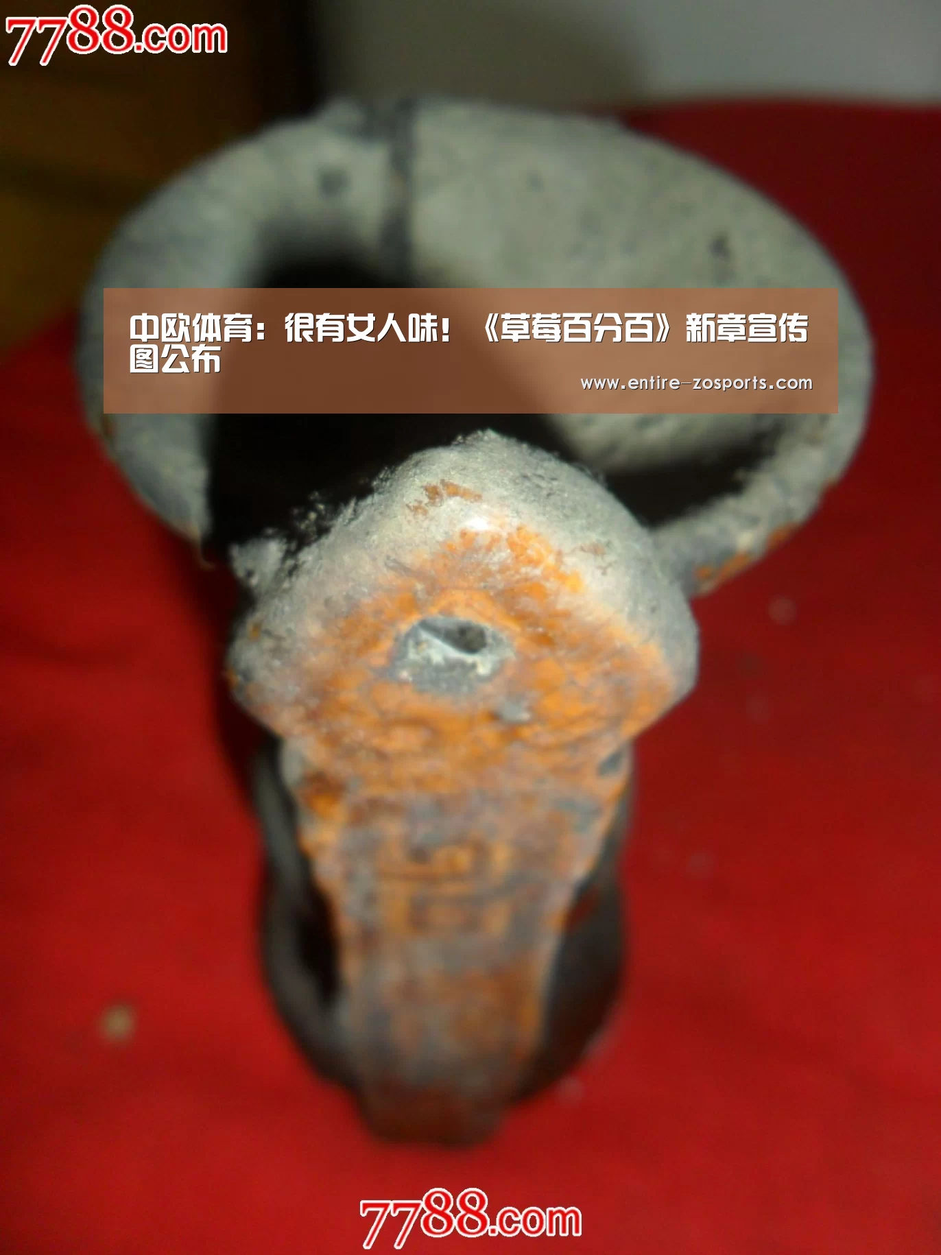zoty体育
