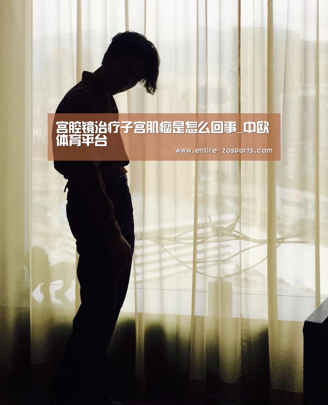 中欧体育官网