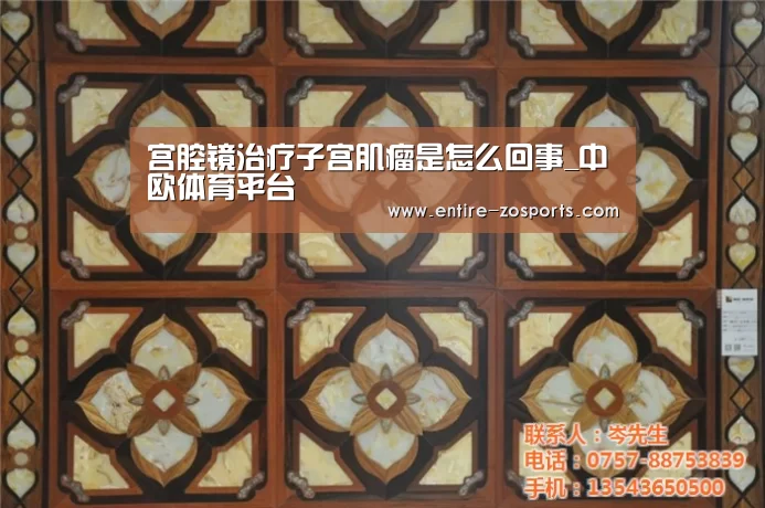 中欧体育