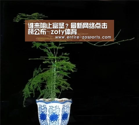 中欧体育平台