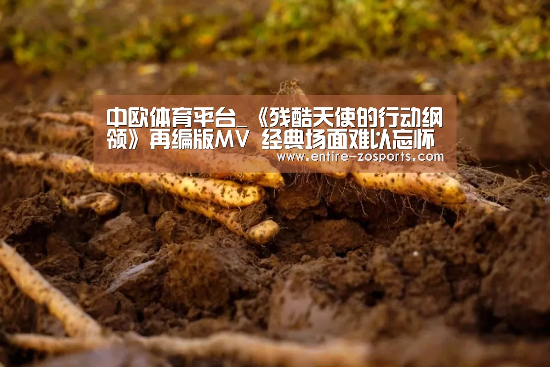 中欧体育平台_《残酷天使的行动纲领》再编版MV 经典场面难以忘怀