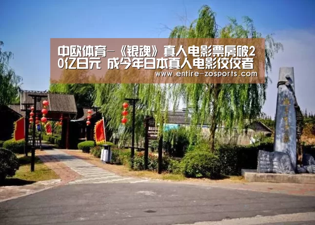 中欧体育-《银魂》真人电影票房破20亿日元 成今年日本真人电影佼佼者(图2) 中欧体育平台